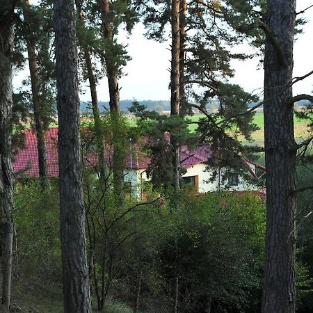 Hotel Rasarit De Soare Rotbav Exteriér fotografie